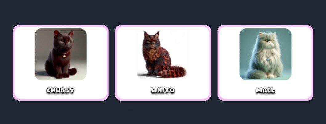 Cat ID Paws Todays Combo 
📅16/11/24
