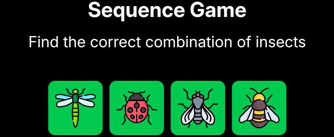 Flies Daily Combo 16/11/24